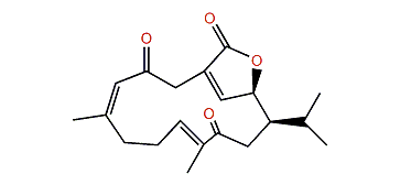 Sarcostolide B